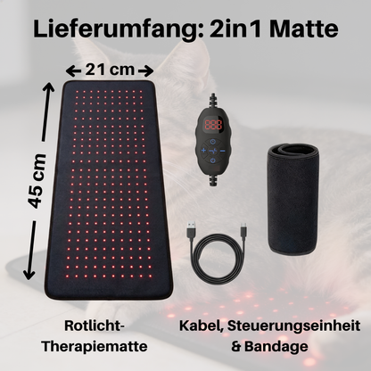 NEU - PfotenLicht Rotlicht-Therapiematte & -Gürtel für Katzen