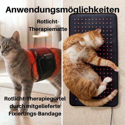 NEU - PfotenLicht Rotlicht-Therapiematte & -Gürtel für Katzen