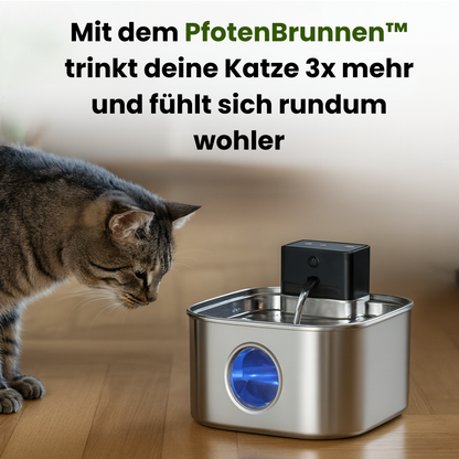 PfotenBrunnen™ - Der automatische Katzenwasserspender