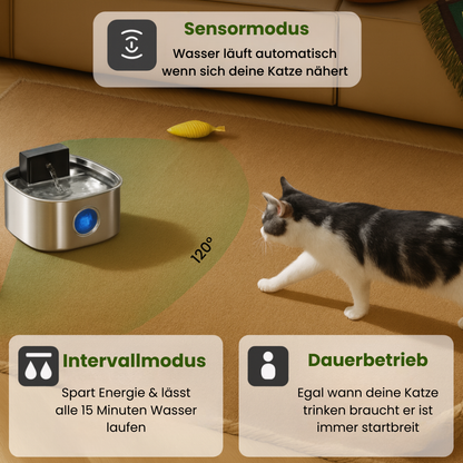 PfotenBrunnen™ - Der automatische Katzenwasserspender