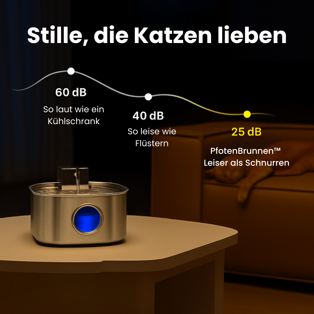 PfotenBrunnen™ - Der automatische Katzenwasserspender