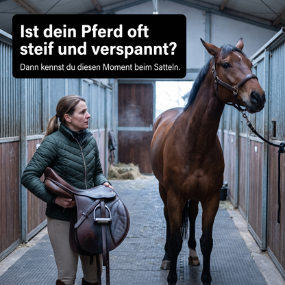 Halora – Das Rotlicht-Massagegerät für Pferde