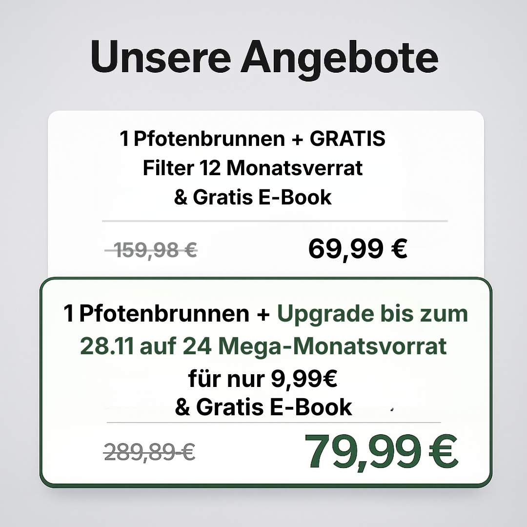 PfotenBrunnen™ Katzenwasserspender