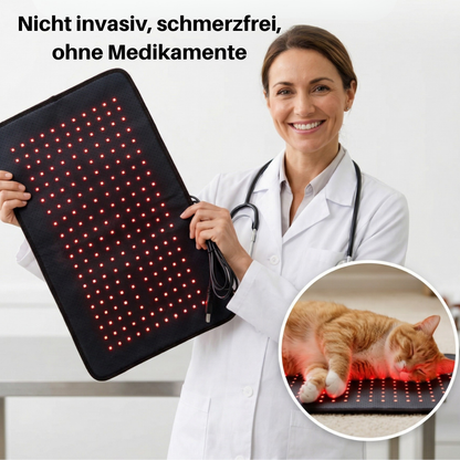 NEU - PfotenLicht Rotlicht-Therapiematte & -Gürtel für Katzen