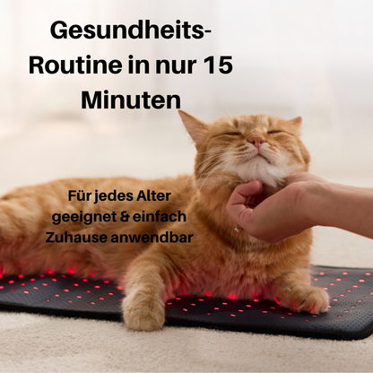 NEU - PfotenLicht Rotlicht-Therapiematte & -Gürtel für Katzen