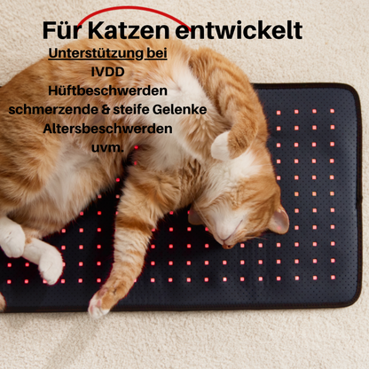 NEU - PfotenLicht Rotlicht-Therapiematte & -Gürtel für Katzen