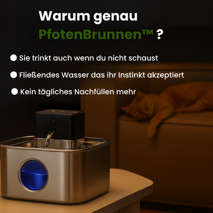 PfotenBrunnen™ Rundum-Versorgt für Katzenmütter