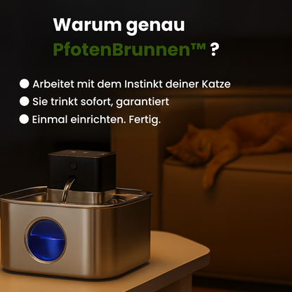 PfotenBrunnen™ Das-wirkt-wirklich-Paket
