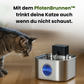 PfotenBrunnen™ Rundum-Versorgt für Katzenmütter
