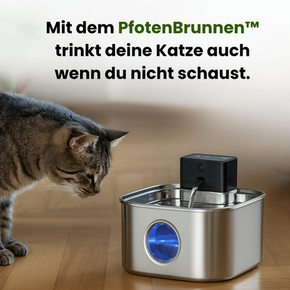 PfotenBrunnen™ Rundum-Versorgt für Katzenmütter