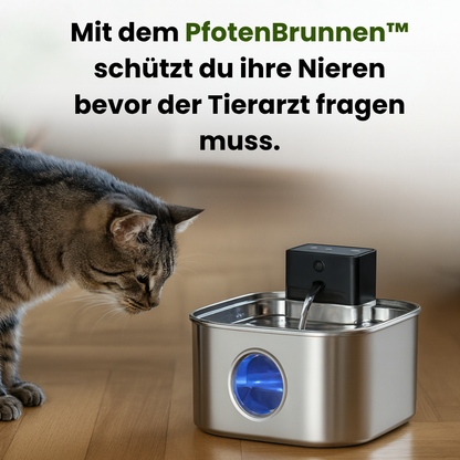 PfotenBrunnen™ Anti-Dehydration Pro