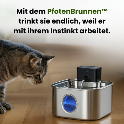 PfotenBrunnen™ Das-wirkt-wirklich-Paket