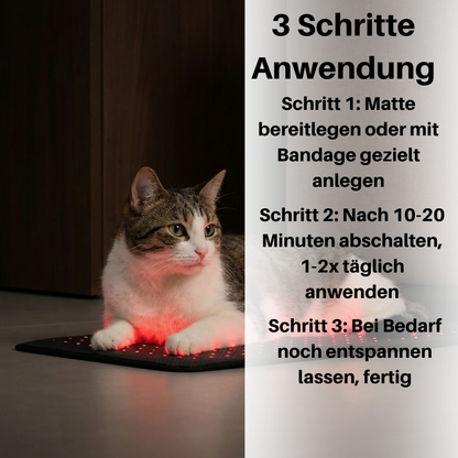 NEU - PfotenLicht Rotlicht-Therapiematte & -Gürtel für Katzen