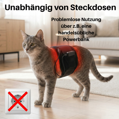 NEU - PfotenLicht Rotlicht-Therapiematte & -Gürtel für Katzen