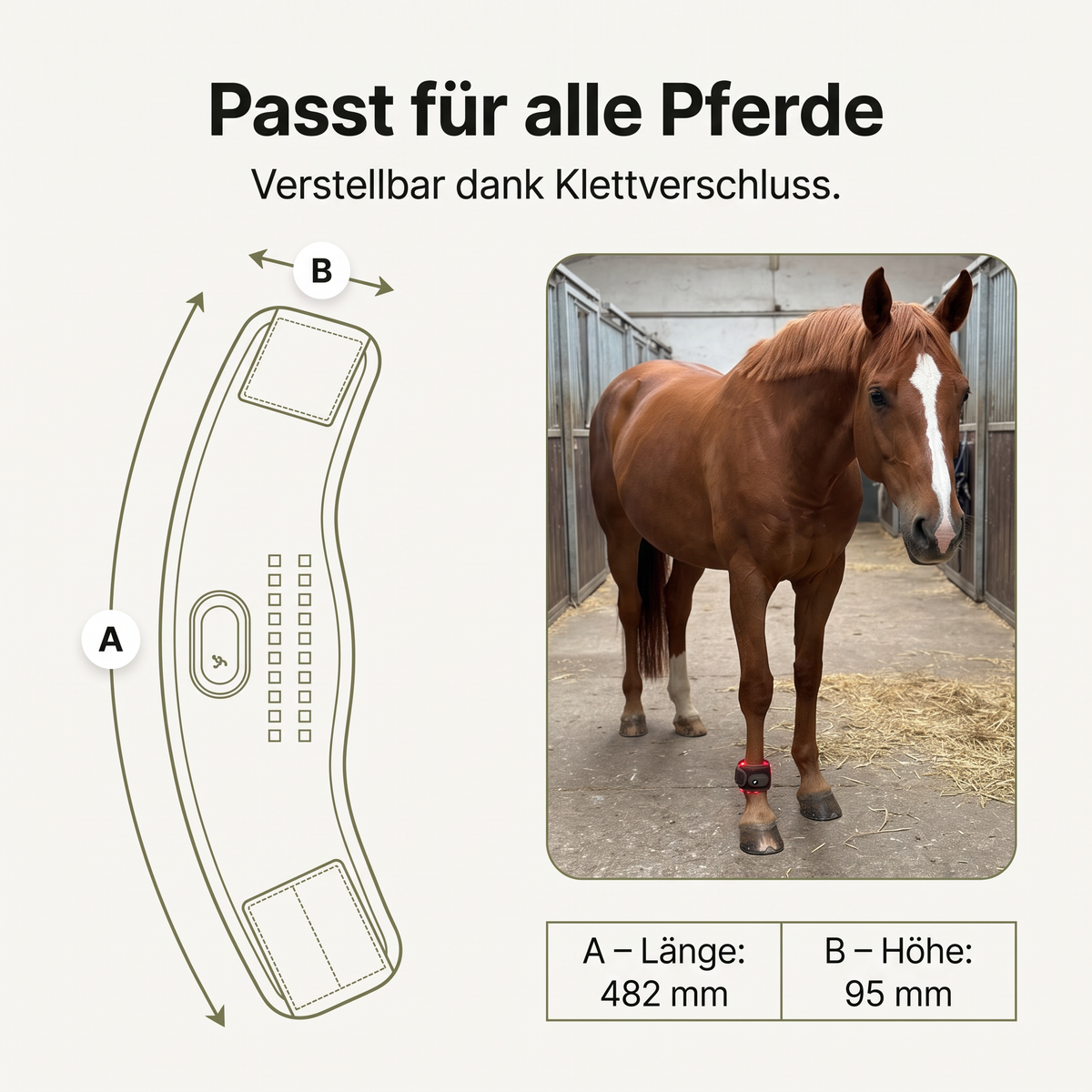 Lumivo – Rotlicht-Manschette für Huf & Fessel