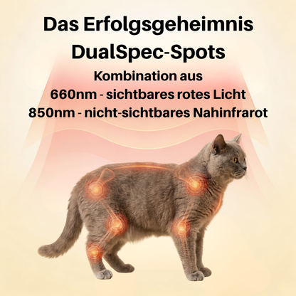 NEU - PfotenLicht Rotlicht-Therapiematte & -Gürtel für Katzen