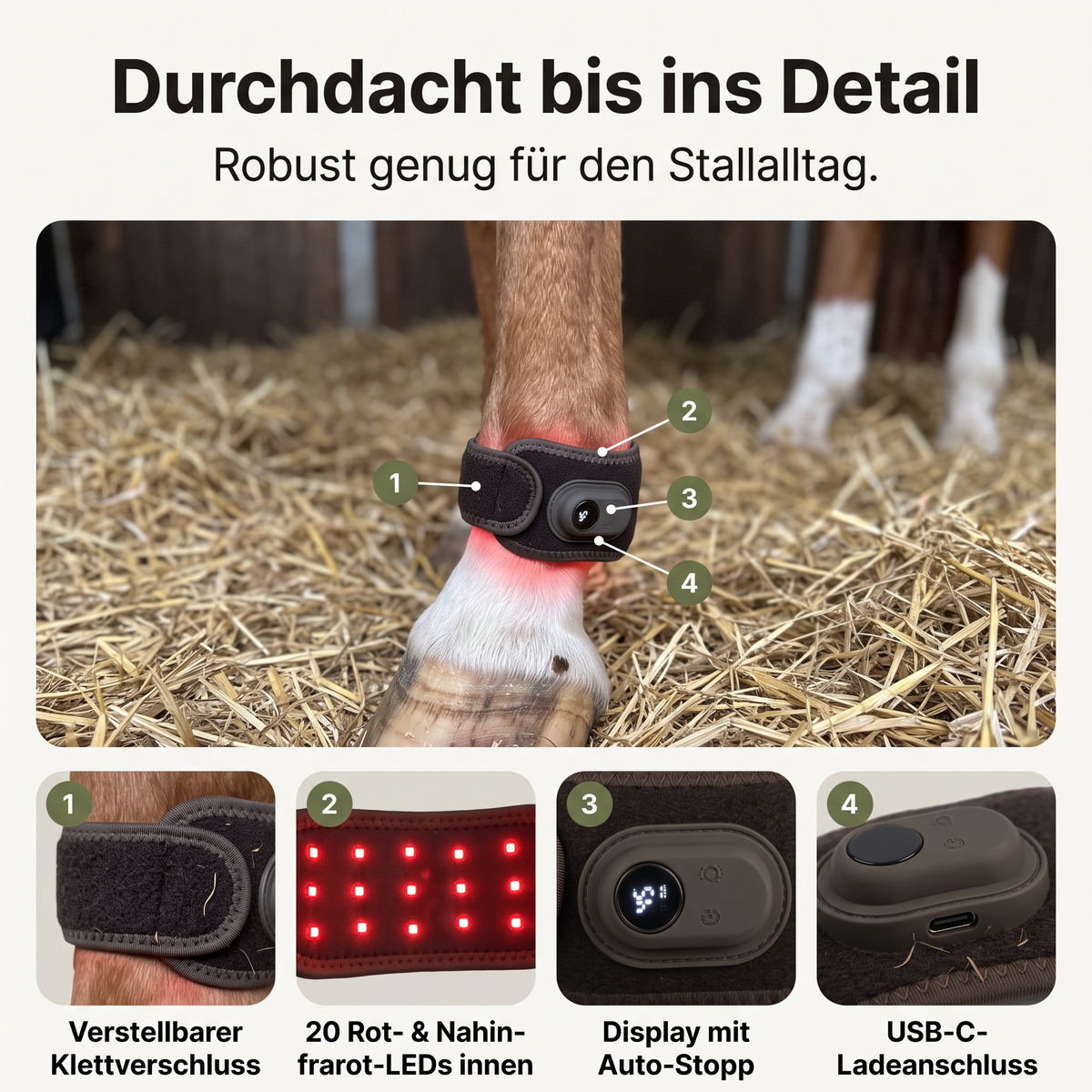 Lumivo – Rotlicht-Manschette für Huf & Fessel