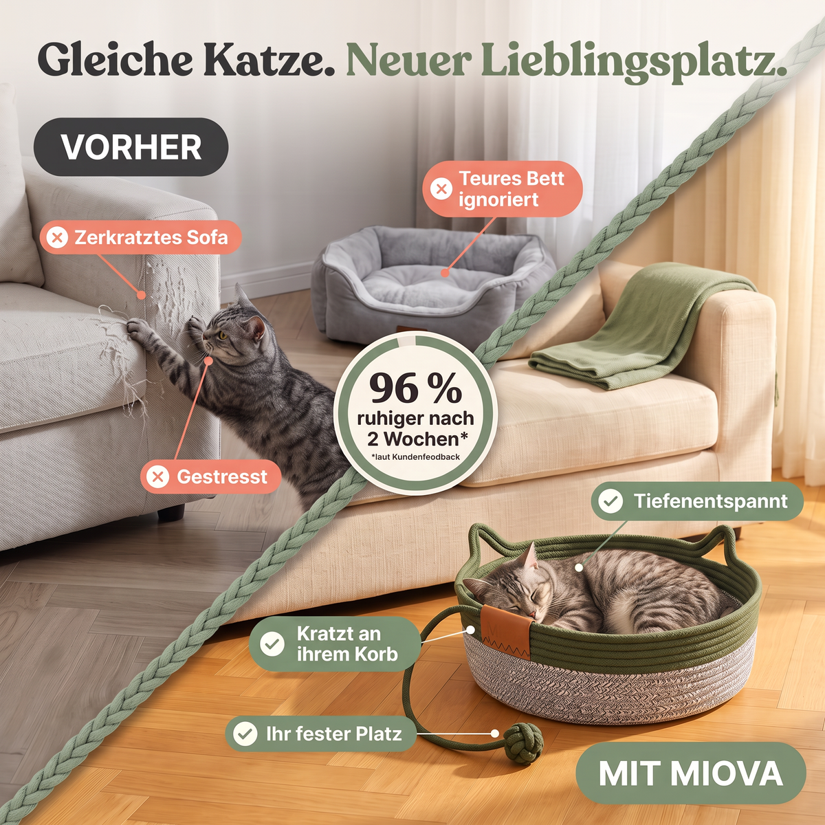 Miova - Das natürliche Revier für deine Katze