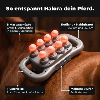 Halora – Das Rotlicht-Massagegerät für Pferde
