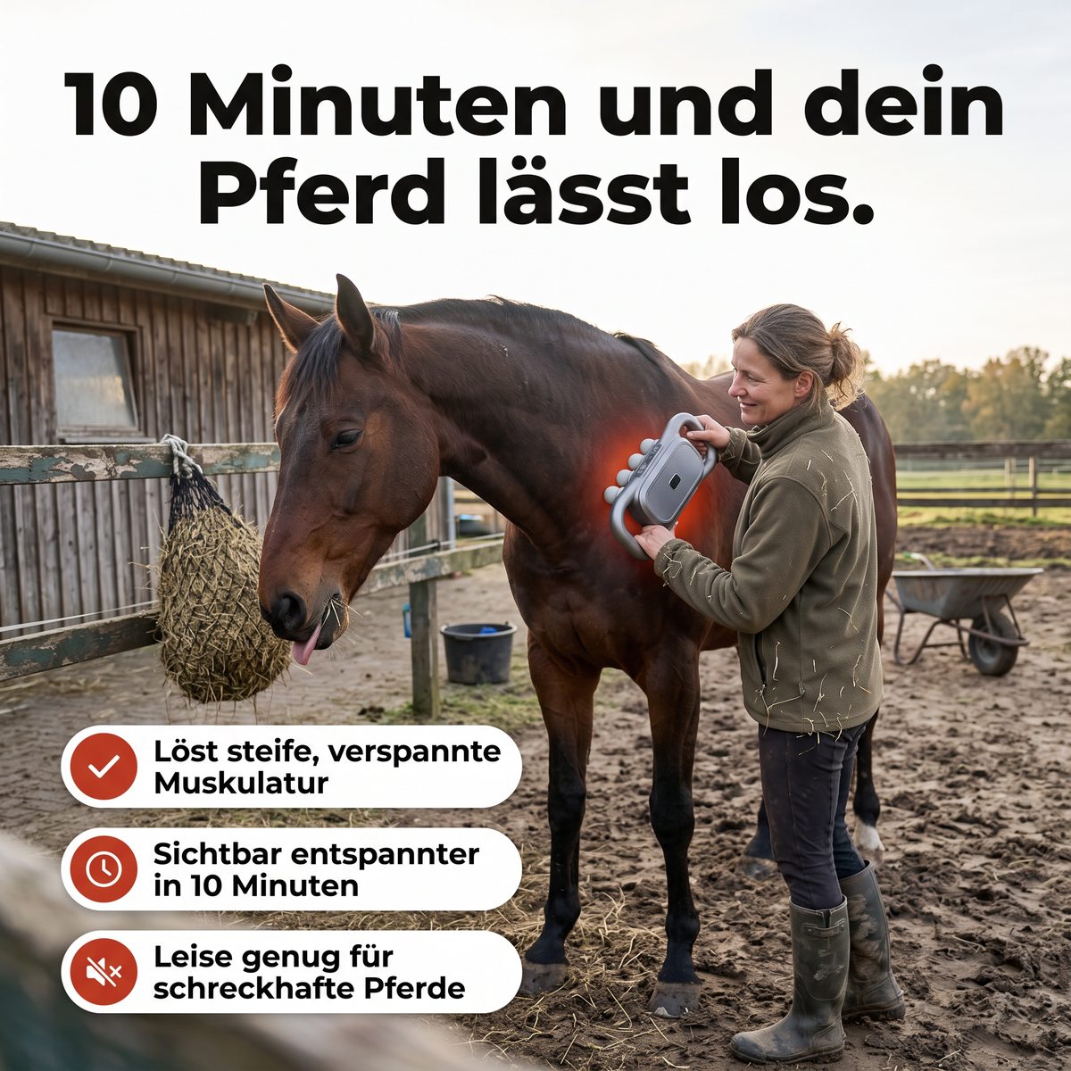 Halora – Das Rotlicht-Massagegerät für Pferde