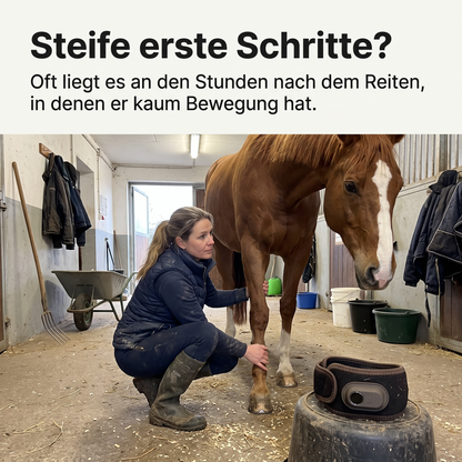 Lumivo – Rotlicht-Manschette für Huf & Fessel