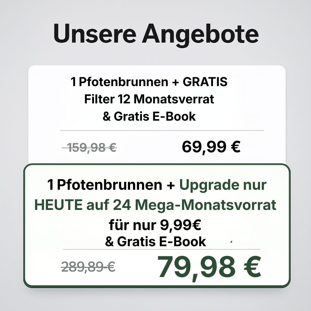 PfotenBrunnen™ Katzenwasserspender