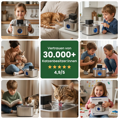 PfotenBrunnen™ - Katzenwasserspender