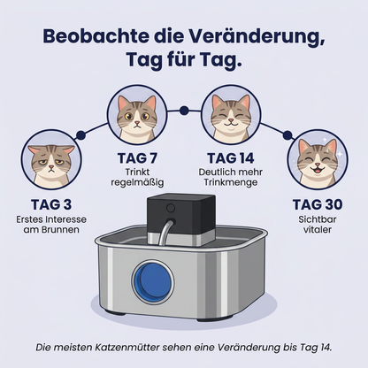 PfotenBrunnen™ - Katzenwasserspender