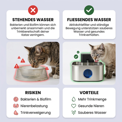 PfotenBrunnen™ - Katzenwasserspender